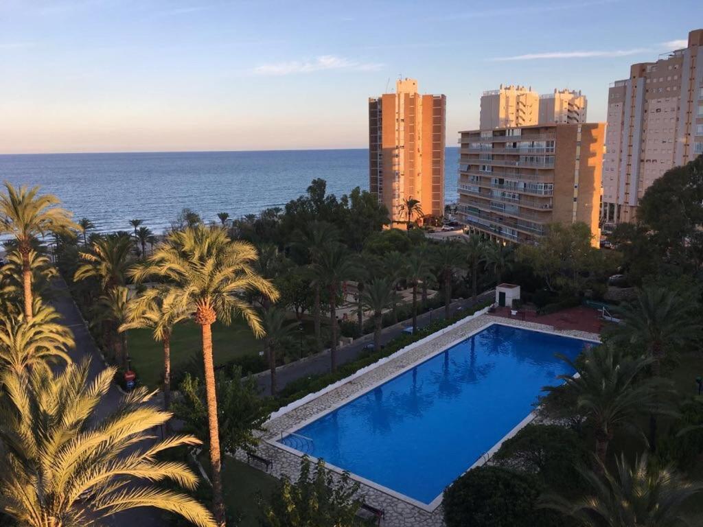 Alicante Plage Muchavista Vu Mer Piscine ,Wifi ภายนอก รูปภาพ
